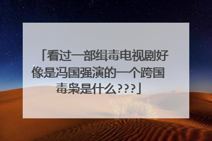 看过一部缉毒电视剧好像是冯国强演的一个跨国毒枭是什么???