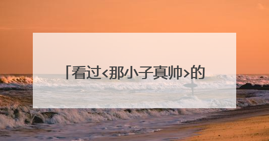 看过<那小子真帅>的快进!帮忙弄张图!