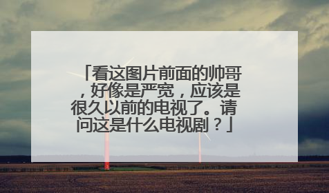 看这图片前面的帅哥，好像是严宽，应该是很久以前的电视了。请问这是什么电视剧？