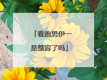 看跑男伊一是整容了吗