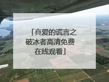 真爱的谎言之破冰者高清免费在线观看