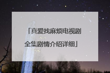 真爱找麻烦电视剧全集剧情介绍详细