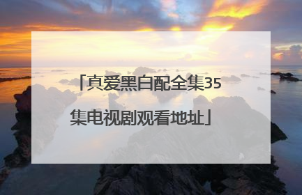 真爱黑白配全集35集电视剧观看地址