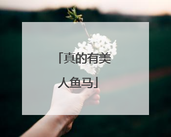真的有美人鱼马