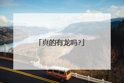 真的有龙吗?