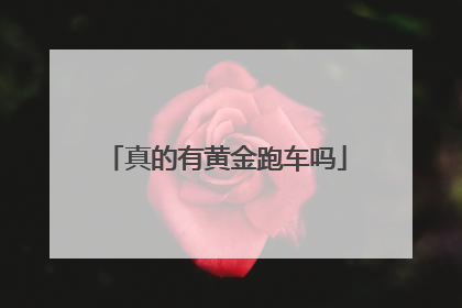 真的有黄金跑车吗