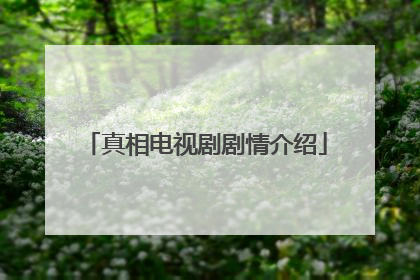 真相电视剧剧情介绍