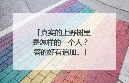 真实的上野树里是怎样的一个人?答的好有追加。