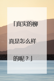 真实的柳真是怎么样的呢?