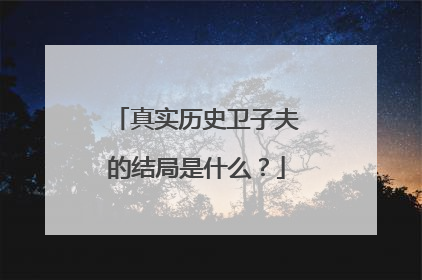 真实历史卫子夫的结局是什么?