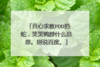 真心求教PDD扔蛇，笑笑鸭脖什么意思。别说百度。