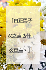 真正男子汉之袁弘什么星座？