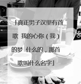 真正男子汉里有首歌 我的心你（我）的梦 什么的，那首歌叫什么名字