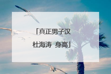 真正男子汉 杜海涛 身高