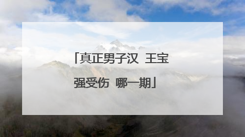 真正男子汉 王宝强受伤 哪一期
