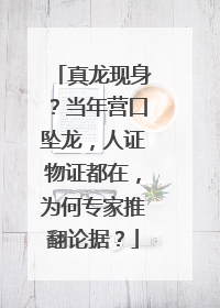 真龙现身?当年营口坠龙,人证物证都在,为何专家推翻论据?