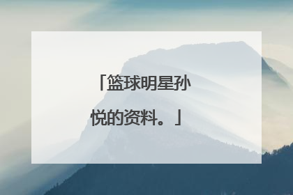 篮球明星孙悦的资料。