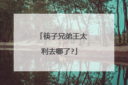 筷子兄弟王太利去哪了?