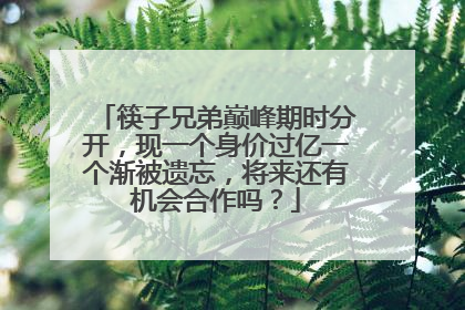 筷子兄弟巅峰期时分开,现一个身价过亿一个渐被遗忘,将来还有机会合作吗?