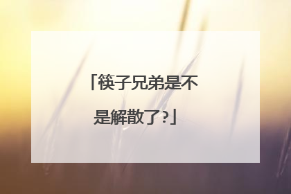 筷子兄弟是不是解散了?