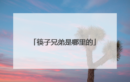 筷子兄弟是哪里的