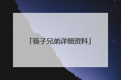 筷子兄弟详细资料