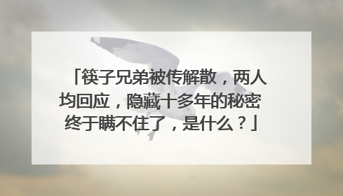 筷子兄弟被传解散,两人均回应,隐藏十多年的秘密终于瞒不住了,是什么?