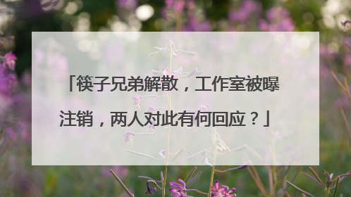 筷子兄弟解散，工作室被曝注销，两人对此有何回应？