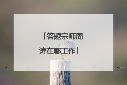 答题宗师周涛在哪工作