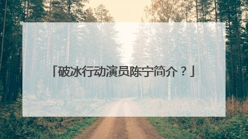 破冰行动演员陈宁简介？