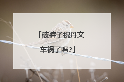 破裤子祝丹文车祸了吗?