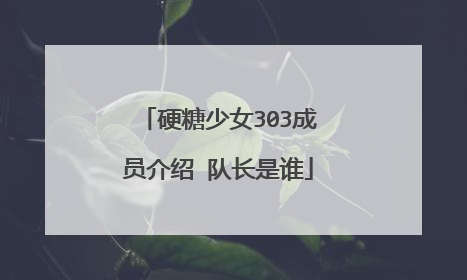 硬糖少女303成员介绍 队长是谁