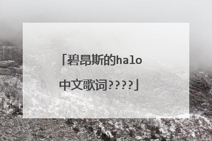 碧昂斯的halo 中文歌词????