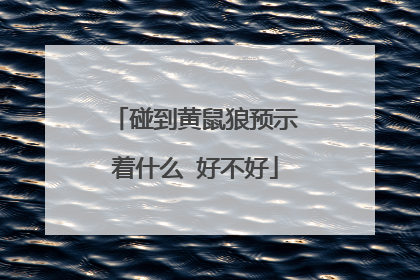 碰到黄鼠狼预示着什么 好不好
