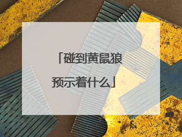 碰到黄鼠狼预示着什么