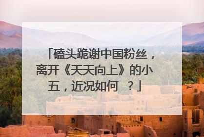 磕头跪谢中国粉丝,离开《天天向上》的小五,近况如何 ?
