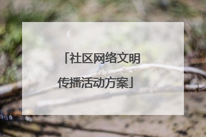 社区网络文明传播活动方案