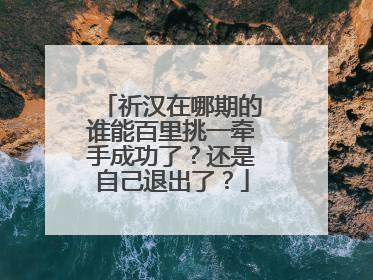 祈汉在哪期的谁能百里挑一牵手成功了?还是自己退出了?