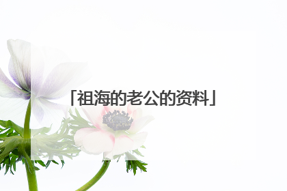 祖海的老公的资料