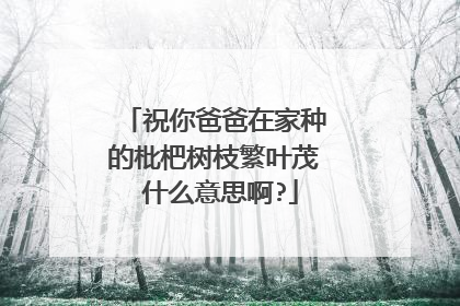 祝你爸爸在家种的枇杷树枝繁叶茂 什么意思啊?