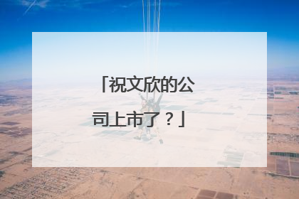 祝文欣的公司上市了?