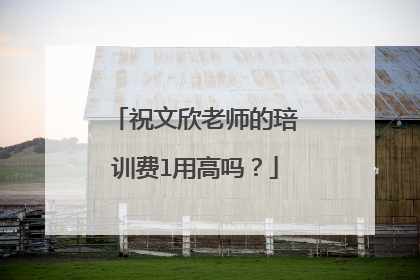 祝文欣老师的琣训费l用高吗？