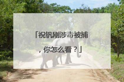 祝钒刚涉毒被捕，你怎么看？