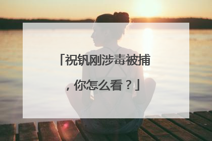 祝钒刚涉毒被捕，你怎么看？