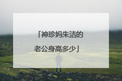 神珍妈朱洁的老公身高多少