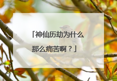 神仙历劫为什么那么痛苦啊？