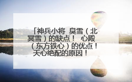 神兵小将 臭雪(北冥雪)的缺点! 心殿(东方铁心)的优点! 天心绝配的原因! (越多越好!!!)
