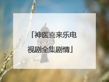 神医喜来乐电视剧全集剧情