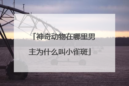 神奇动物在哪里男主为什么叫小雀斑