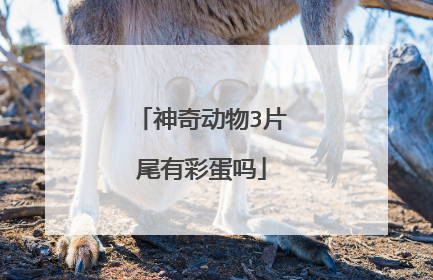 神奇动物3片尾有彩蛋吗